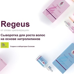 Создание сайта резидента Сколково компании Regeus